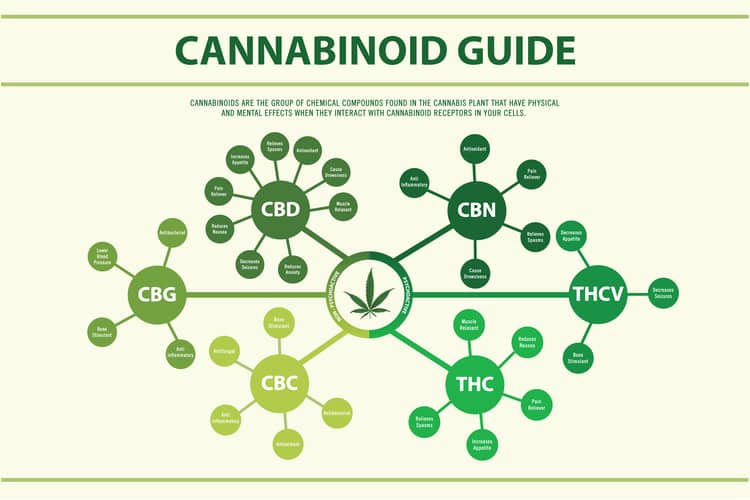 11 Cannabinoids You Never Heard Of Before (But Need To Know)