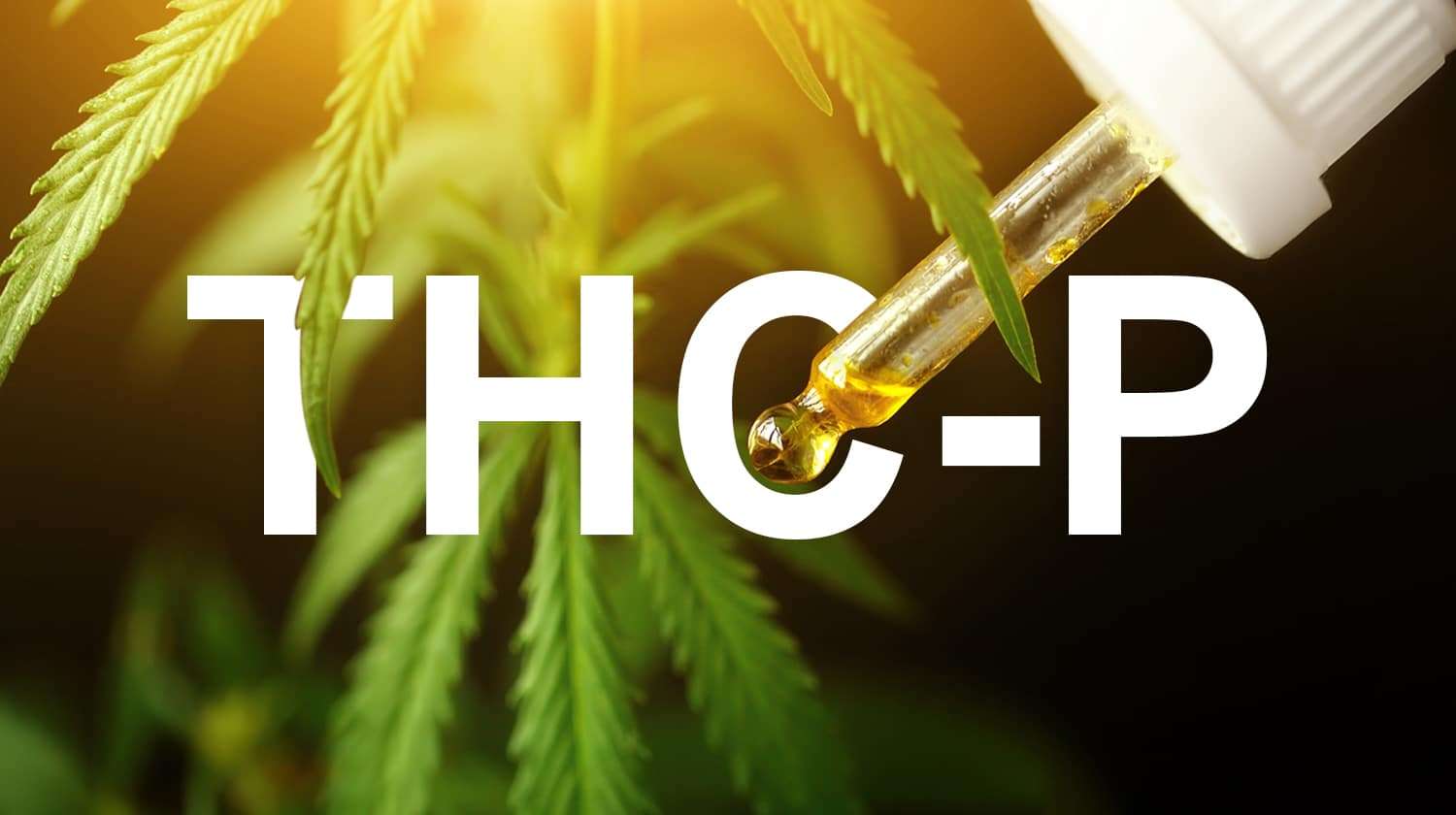 What Is THCP Cannabinoid & Can You Vape It? The Kind Pen